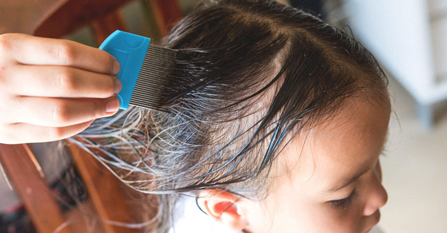 Head lice comb