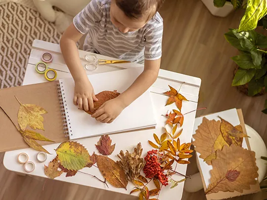 Autumn Collages